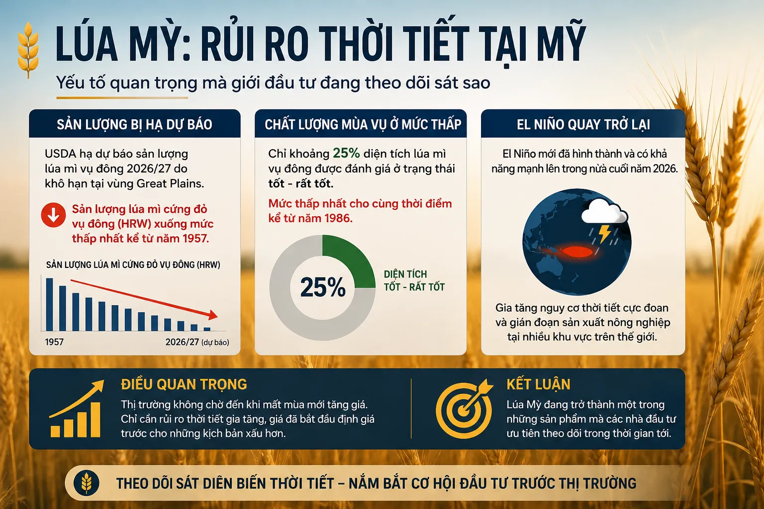 Một trong những câu chuyện đáng chú ý nhất của Lúa Mỳ thời điểm hiện tại chính là rủi ro thời tiết tại Mỹ.